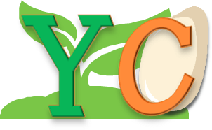 YC